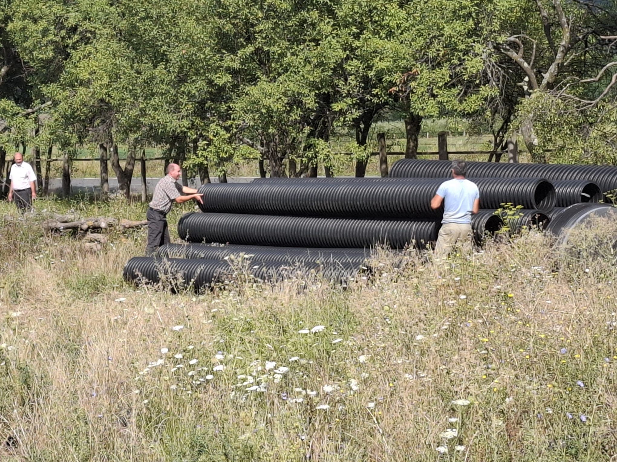 Jud. Satu-Mare - Jud. Satu-Mare